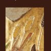Copertina del libro Maranathà